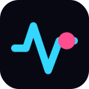Pulse AI Request Runner